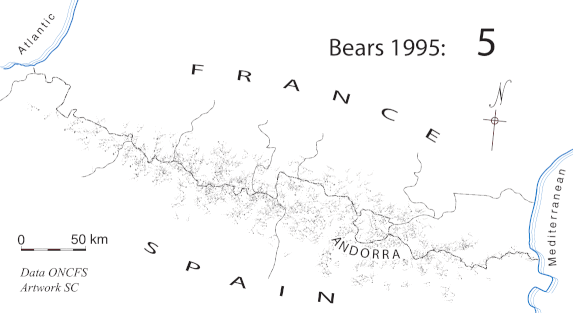 Growth in bear population from 1995 to 2020