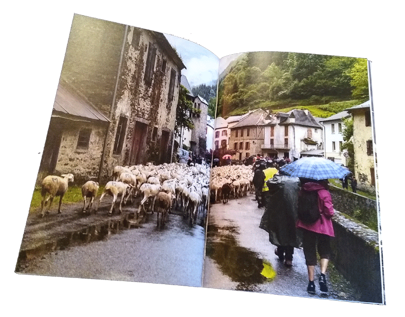 Sheep passing through Couflens on their transhumance (pp 64-5)